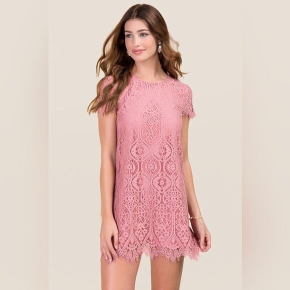 Francesca’s Mauve Pink Lace A-Line Dress Mini Dress Feminine Cute Scalloped Lace - Picture 1 of 10